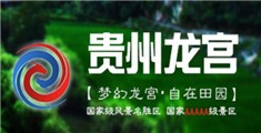 www。操