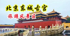 骚货肏屄中国北京-东城古宫旅游风景区