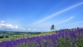 艹逼流水高潮视频日本一地6日游  境外旅游 6880元/人